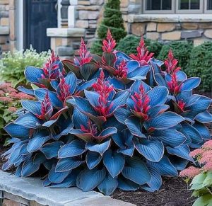 Хоста Грин Фог купить по цене от 669р. в интернет-магазине «Посадика» с доставкой почтой в в Мегионе и по всей России – [изображение №1].